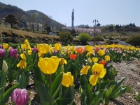 거창사건추모공원에서 쉼 시간 가지세요