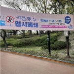 꽃단장한 석촌호수, 안 가고도 즐기는 방법