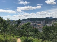 내가 겪은 서울 아파트 살이의 진면목