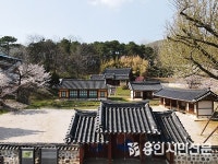 고목에 둘러싸인 조선시대 교육기관 양지향교