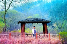 환희의 언덕에서 바라본 대청호 탄성이 절로