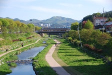 마우스 휠만 내리세요... 제민천 공짜로 구경 시켜 드립니다