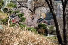 고속터미널역에서 방배역까지 산길로 가는 법 [단칼에 끝내는 서울 산책기]