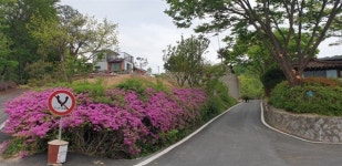 정원처럼 예쁜 마을, 옆 동네 주민들도 놀러 올 정도