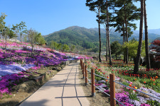 겉은 예쁜데... 함양 지리산생태체험단지 논란 왜