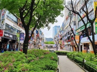 1기 신도시에 뭐 볼 거 있냐고요? 평촌은 다릅니다