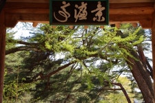 죽계천 절 자리에 서원이 들어섰다