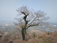 가장 아름다운 곳에서 본 가장 슬픈 곳