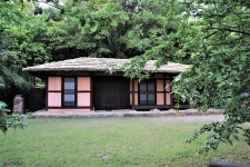 무안에 이렇게나 멋진 명소가 있었다니!