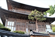 무안에 이렇게나 멋진 명소가 있었다니!