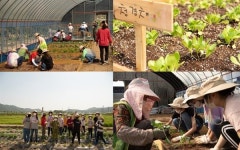 농부, 기자, 탐험가... 이 학교에선 무엇이든 다 됩니다