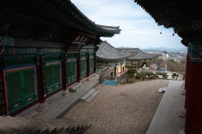 꼭 용의 승천 같네... 성북동에 이런 야경이 [단칼에 끝내는 서울 산책기]