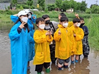 [사진] 물 만나 신난 산골 아이들, 생태조사? 물놀이?