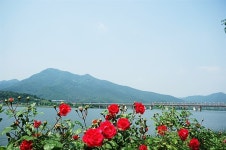 [사진] 팔당에서 양수리까지