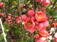 부처님 오신 달에 읽기 좋은 시집