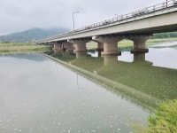 경주 형산강에 정체불명 거품... 수질검사 예정