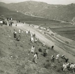 화장실도 없는 곳에 강제이주... 사당동 철거민촌 역사 [동작민주올레 시즌2]