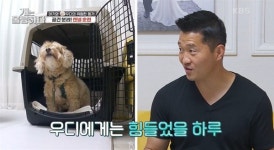 아기 공격하는 반려견, 강형욱이 SNS 지목한 까닭