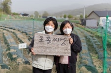 서울 광진과 강원도 홍천, 토종씨앗으로 만나다