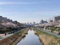 지금은 단종되고 없지만, 미야타 자전거가 내게 특별한 이유