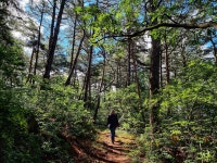 천 년의 역사 속으로 떠나는 구례의 길
