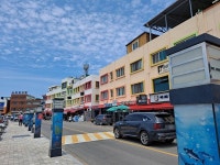 고흥·여수 사람들이 지갑 털려도 꼭 먹는 여름 별미