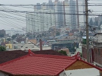 문제의 빨간 변소간, 여기서 그러실 줄이야