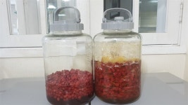 농장을 소유한 뒤... 50대 친구의 삶이 달라졌다