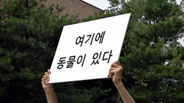 초복, 우리가 먹는 것은 죽음이다