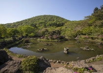 최고의 제주 숲길? 나는 주저 않고 여기다 [제주살이를 꿈꾸는 당신에게- 한 언론인의 탐라국 일기]