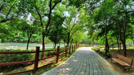 용인시, 국도비 51억원 투입 도시공원 등 11곳 개선