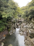 전설의 제주도 변소를 이 숲길에서 볼 줄이야 [제주살이를 꿈꾸는 당신에게- 한 언론인의 탐라국 일기]