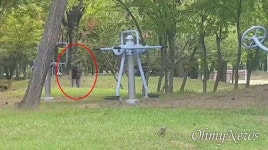 [영상] 동네 공원에서 골프연습 해도 괜찮을까?