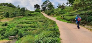 길을 걸으며 자신과 만나는 지리산 둘레길 순례