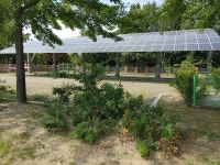 음쓰도 자원... 부디 한 가지만 부탁드립니다