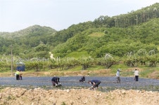 괴산-용산서 감지된 기분 좋은 변화, 시작은 콩이었다