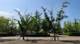충격의 일산호수공원, 주민들은 제대로 알고 있을까 [최병성 리포트]