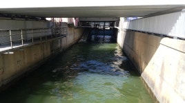 금강 하구둑에서 끔찍한 걸 보았습니다 [파리로 가는 길]