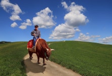 소는 내게 가족... 부모님에겐 자식보다 우위의 존재