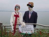 [사진] 가을 소풍 이곳 어때요? 간월호 코스모스길