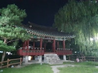 우리가 몰랐던 이천 도심의 매력  [운민의 경기별곡]