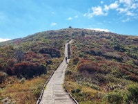 구례 노고단 가는 길, 혼자 보기 아깝습니다