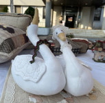 향남문화의집 展 나날 곱디고운으로 물들다