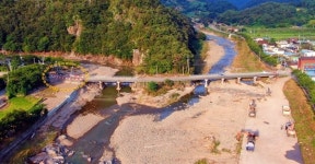 사과나무 대학살... 산꼭대기에서 벌어진 섬뜩한 일 [최병성 리포트]