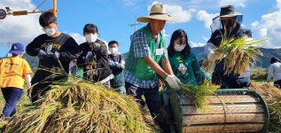 어린이 농부들, 첫 쌀농사 대풍이요!