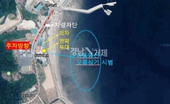 잘피숲 조성으로 남해바다숲 만든다