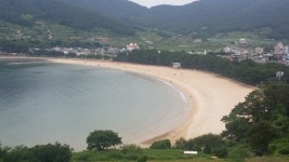 제주 바닷속에서 무슨 일이? 30년 다이빙 촬영에 담긴 진실 [파리로 가는 길]