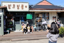 갯마을 차차차 배경 공진, 지금 난리 났네요