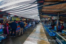 사천해변의 초보 서핑족, 스님은 아직도 사춘기