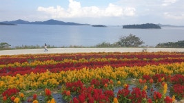 병풍도 해변은 한폭의 수채화